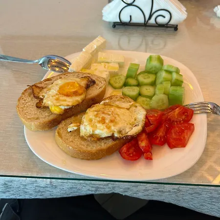 Treeolives Kamp alanı *