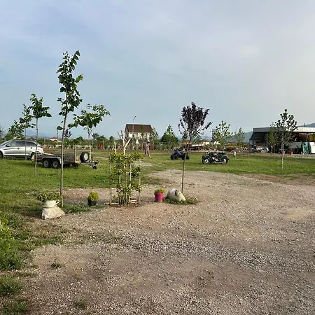 Treeolives Kamp alanı