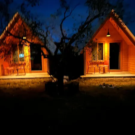 Treeolives * Шкодер