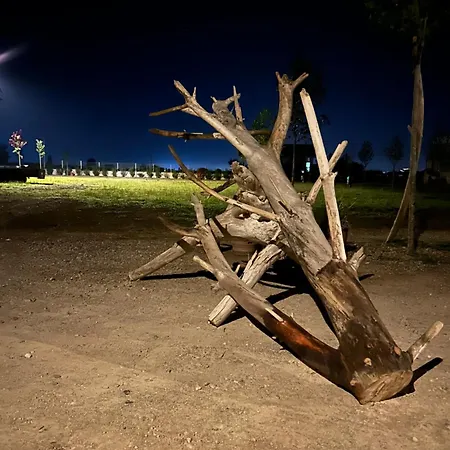 Kamp alanı Treeolives Shkodër