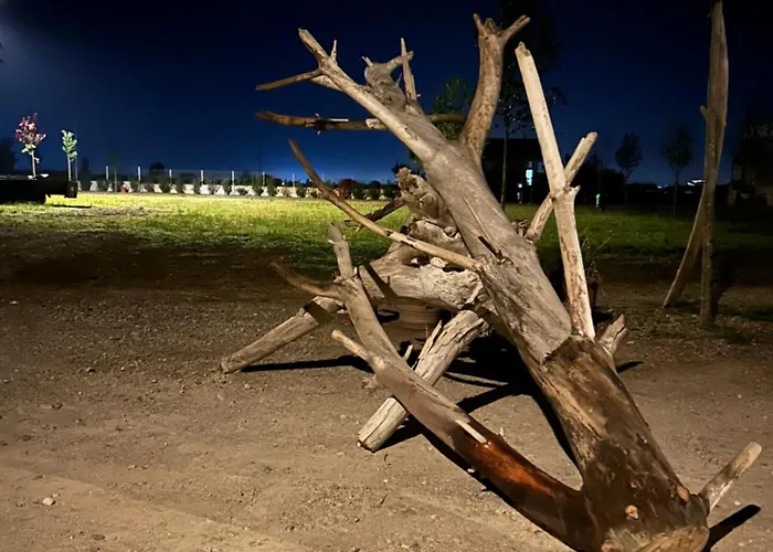 Campingplatz Treeolives Shkodra