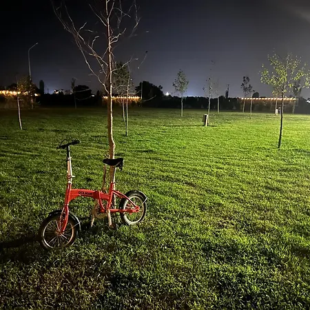 Treeolives * Shkodër