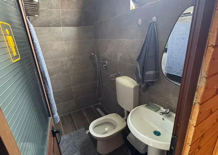 Treeolives * Shkodër