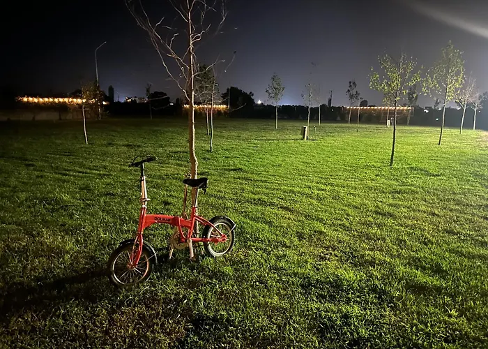 Treeolives * Shkodër