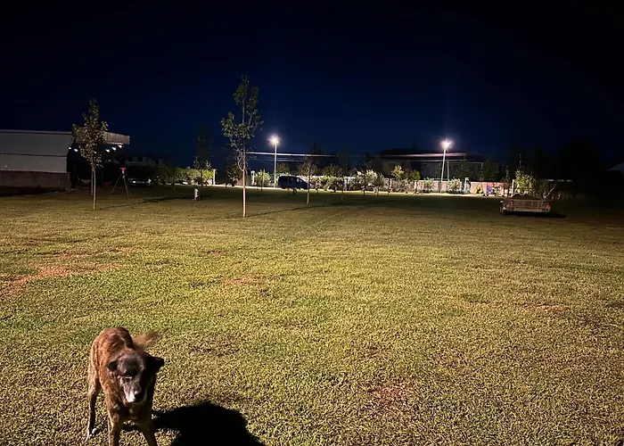 Treeolives Parque de Campismo