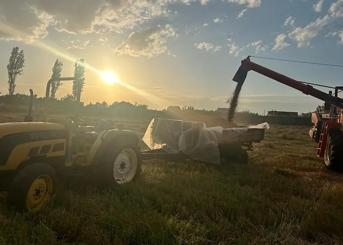 Treeolives Camping Shkodër