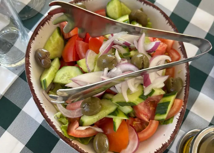 Treeolives * Shkodër