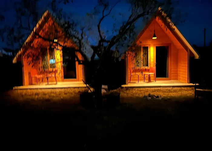 Treeolives * Shkodër